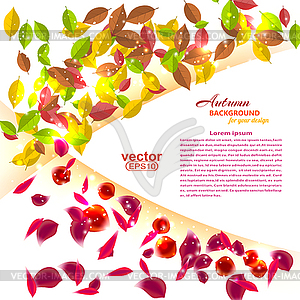 Seasonal background with autumn leaves and summer - vector clipart