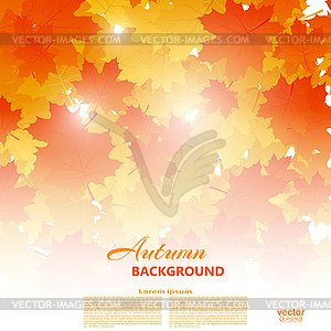 Background on autumn theme of falling yellow and - vector image