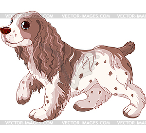 Spaniel dog - vector image