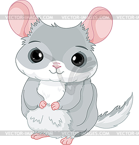 Chinchilla - vector clipart