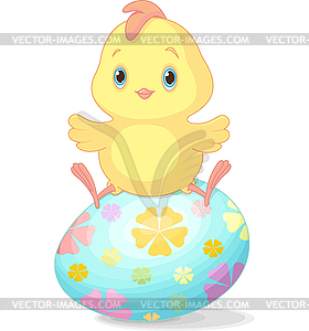 Easter chick - vector image