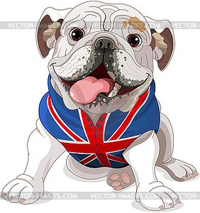 English Bulldog - vector clipart