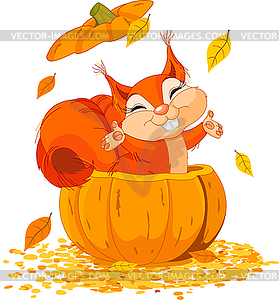 Squirrel jumps out of pumpkin - vector image