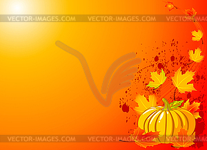 Autumn Pumpkin Background - vector clip art