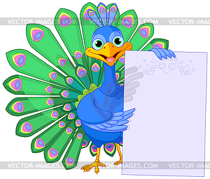 Peacock holding placard - vector clipart