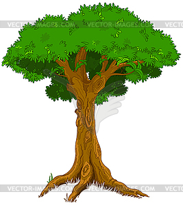 Majestic tree - vector image