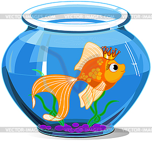 Gold fish - vector image