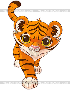 Baby tiger - vector image