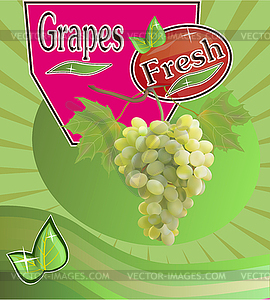  Fresh grapes juice Banner - vector image