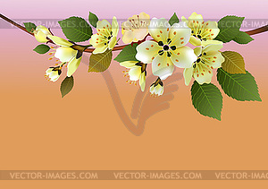 Sakura , spring , postcard . - stock vector clipart