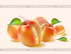 Свежий сок абрикосовый Баннер - рисунок в векторном формате