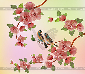  Bannersakura , spring , postcard . - vector image