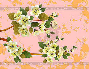 Sakura , spring , postcard . - vector clipart