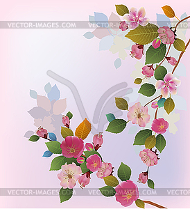 Sakura , spring , postcard . - vector clipart