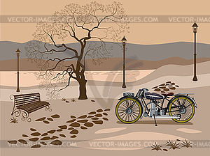 Evening in the park near the lake - vector image