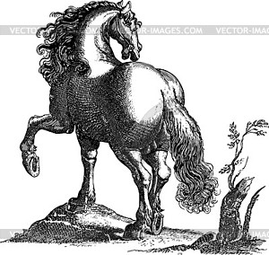 Horse engraving - black and white sketch - vector clip art