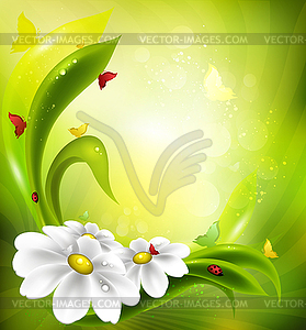 Summer Background - vector clipart