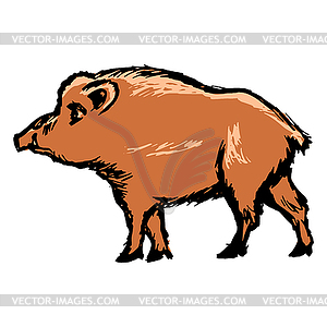 Wild boar - vector clipart