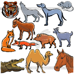 Set of different animals - vector clipart