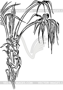 Palm tree, black silhouette - vector clipart