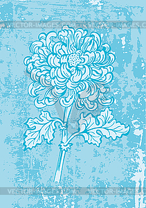 Japanese chrysanthemum flower - vector image