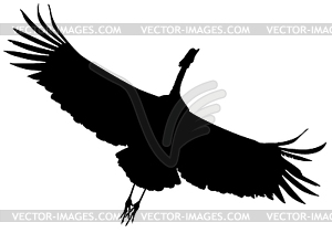 Силуэт черный летающий кран птицы - векторное изображение клипарта