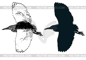 Paddybird - vector image