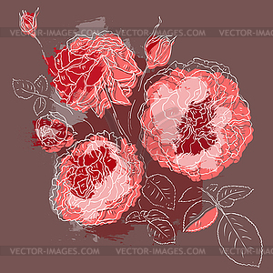 Beautiful pink rose - vector image