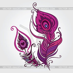 Beautiful peacock feather - vector clipart