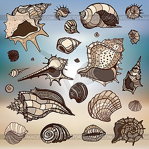 Sea shells set. Blurred background - vector clipart