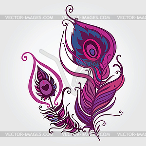 Beautiful peacock feather - vector image