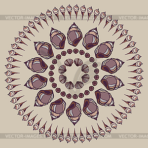 Mandala made of Seashells - vector image