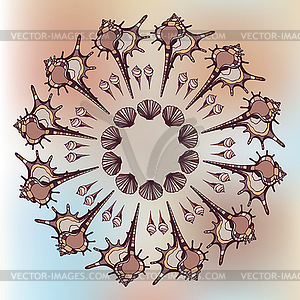 Mandala made of Seashells - vector image