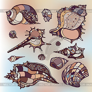 Sea shells set. Blurred background - vector image