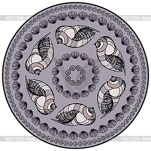 Mandala made of Seashells - vector image