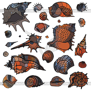 Sea shells set - vector image