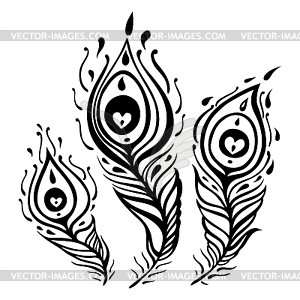 Peacock Feather set - vector clip art