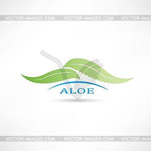 Creative aloe icon - vector image