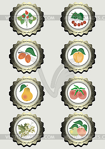 Collection of icons with fruits - vector clipart