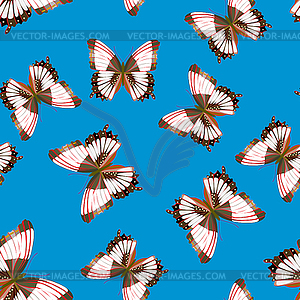 Butterfly - seamless pattern - royalty-free vector clipart