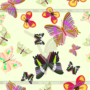 Butterfly seamless pattern - vector clip art