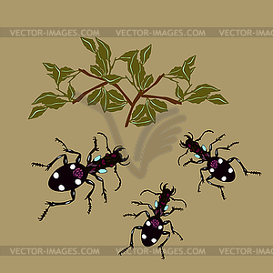 Cute insects and plant - vector image