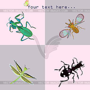 Insect Set - vector EPS clipart