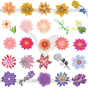 Set of creative flowers - color vector clipart