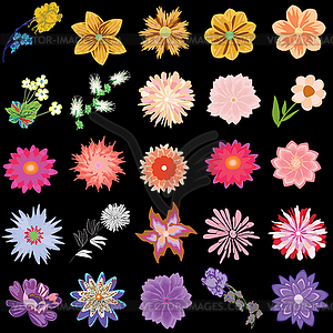 Set of creative flowers - vector clip art