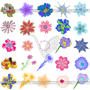 Set of creative flowers - vector clipart