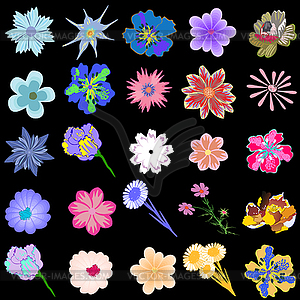 Set of creative flowers - vector clip art