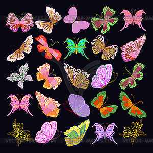 Set of colorful realistic isolated butterflies.Vector i - vector clip art