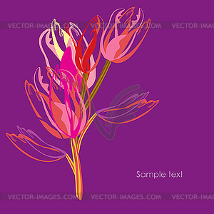  Tulips. - royalty-free vector clipart