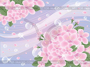Abstract background with cherry blossom, vector  - color vector clipart